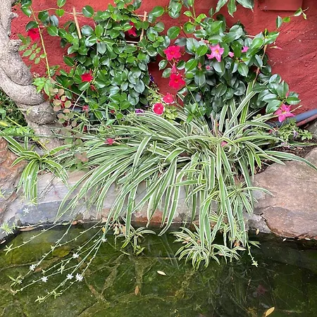 Casa Lares Kır Evi *