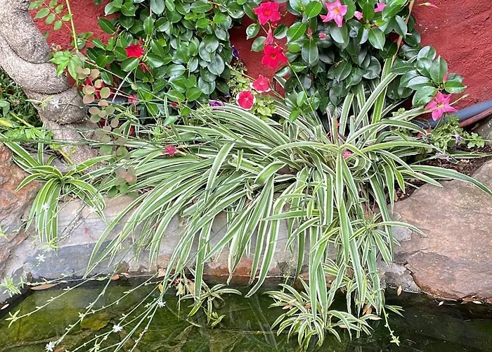 Casa Lares Venkovský dům *