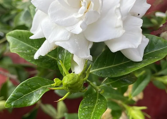 Casa Lares Venkovský dům *